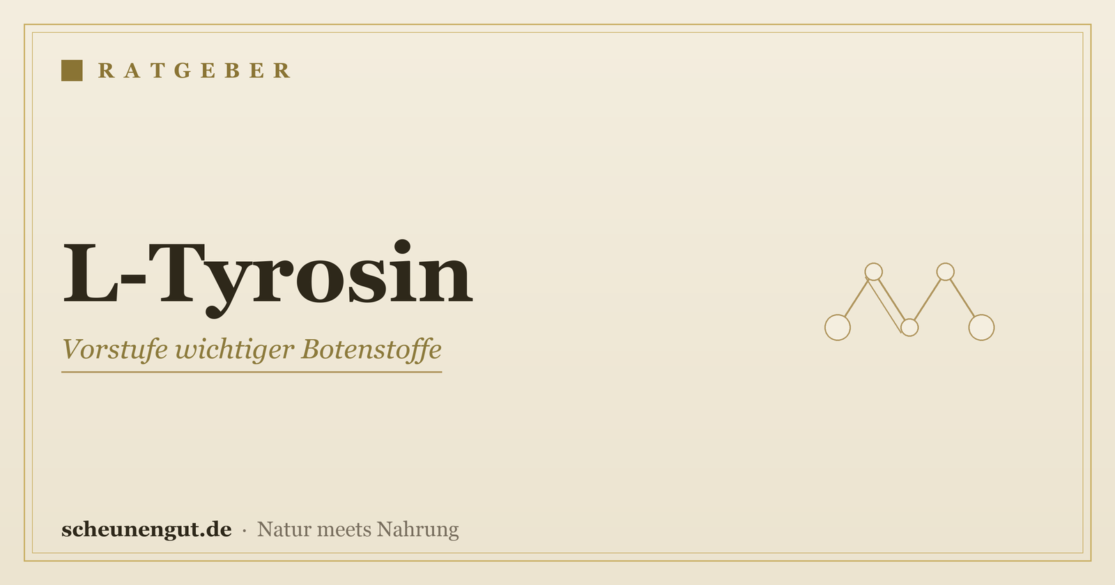 L-Tyrosin: Wirkung & Einnahme erklärt – Ratgeber von Scheunengut