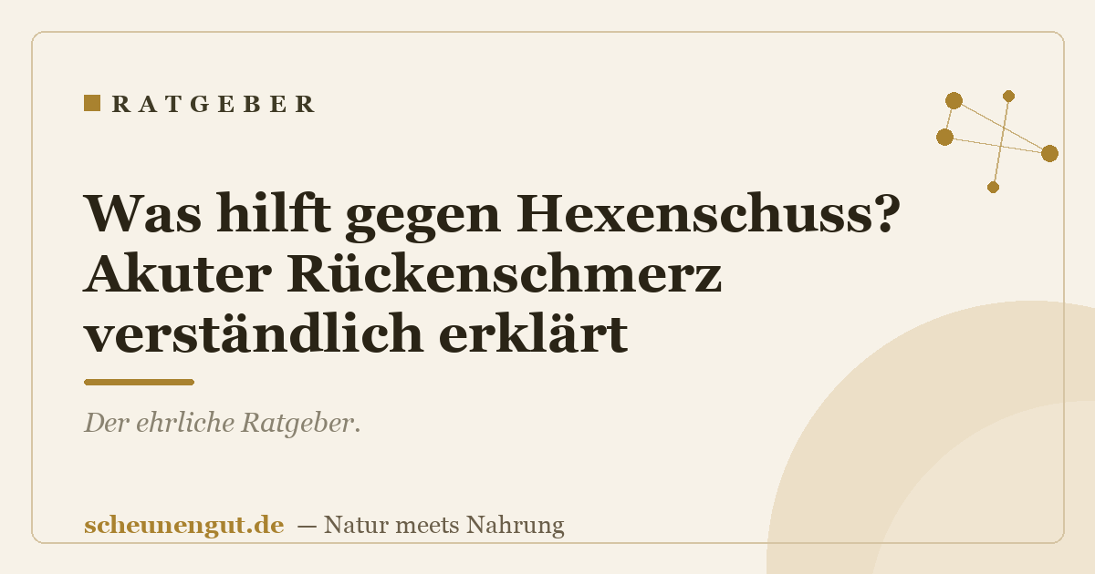 Was hilft gegen Hexenschuss? Akuter Rückenschmerz verständlich erklärt