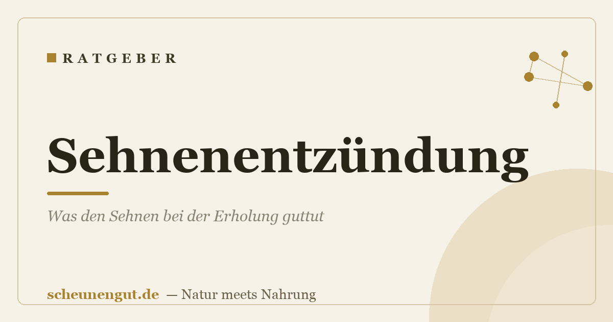 Sehnenentzündung: Was den Sehnen bei der Erholung guttut