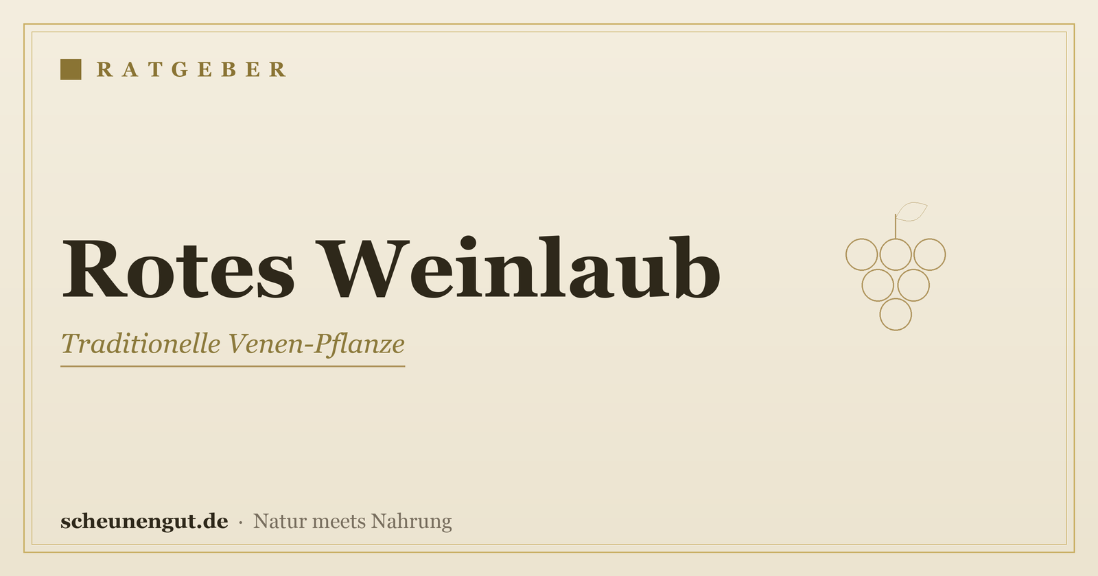 Rotes Weinlaub: Venen & schwere Beine – Ratgeber von Scheunengut