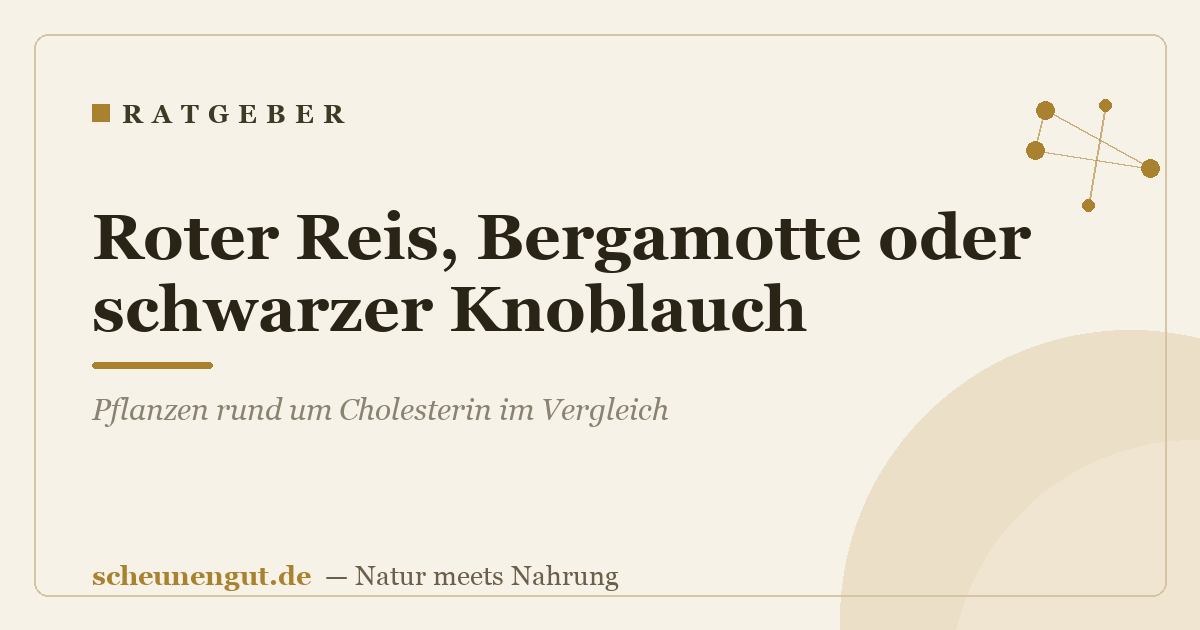 Roter Reis, Bergamotte oder schwarzer Knoblauch? Pflanzen rund um Cholesterin im Vergleich