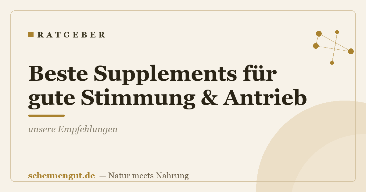 Beste Supplements für gute Stimmung & Antrieb: unsere Empfehlungen