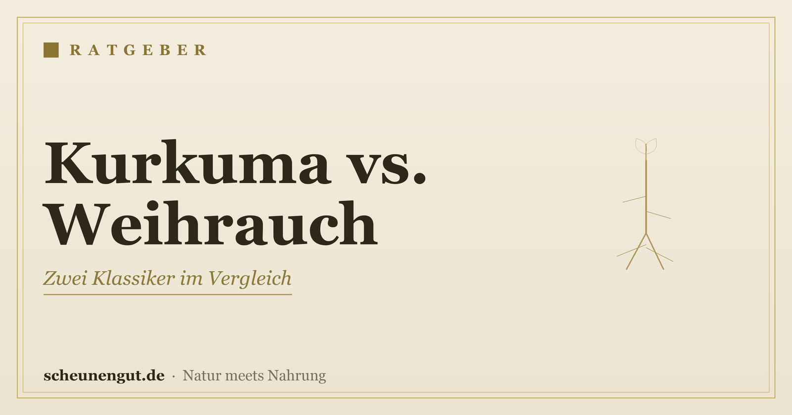 Kurkuma oder Weihrauch? Zwei Klassiker im Vergleich – Ratgeber von Scheunengut