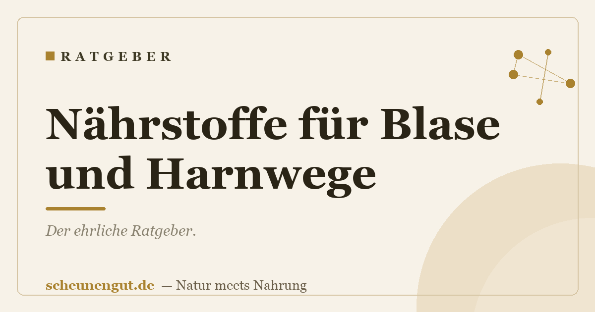 Nährstoffe für Blase und Harnwege