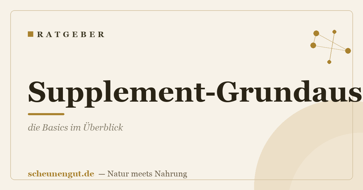Supplement-Grundausstattung: die Basics im Überblick