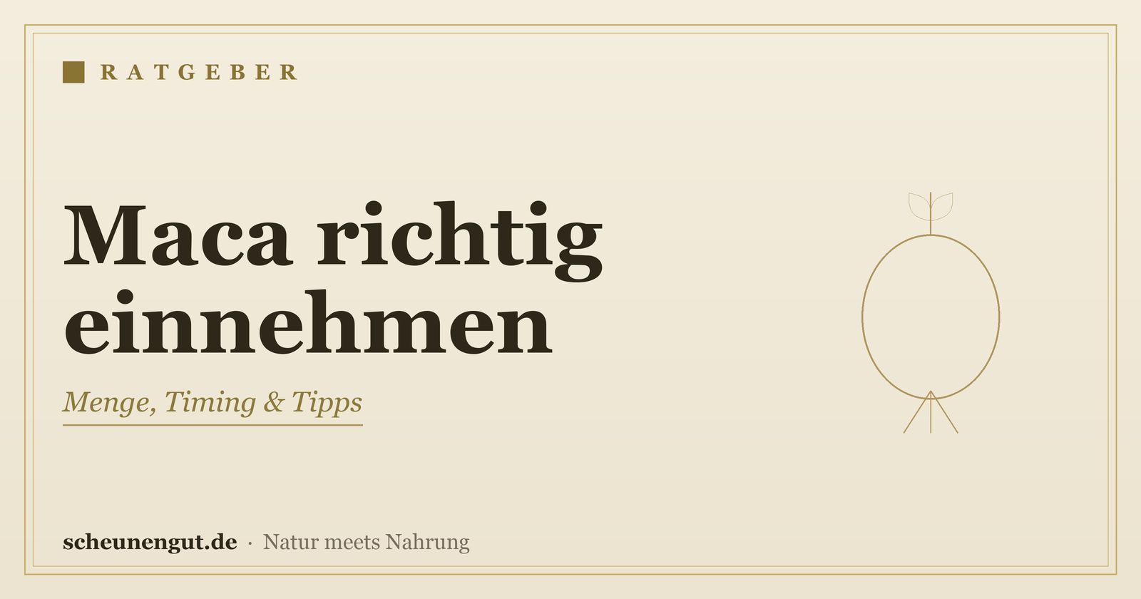 Maca richtig einnehmen: Menge, Timing & Tipps – Ratgeber von Scheunengut