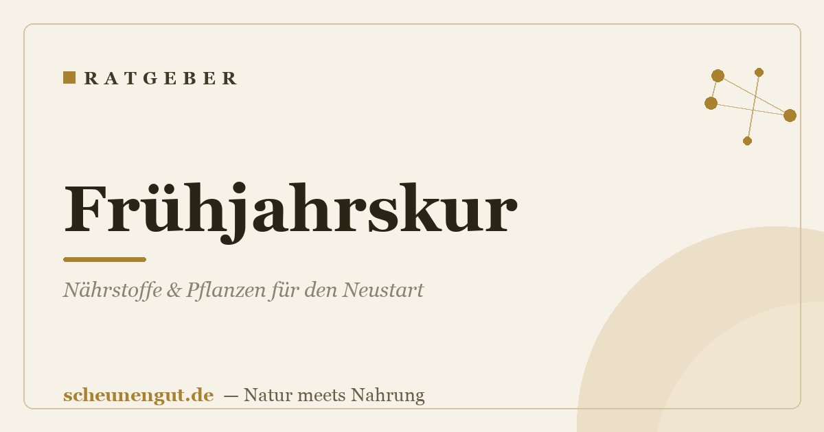 Frühjahrskur: Nährstoffe & Pflanzen für den Neustart