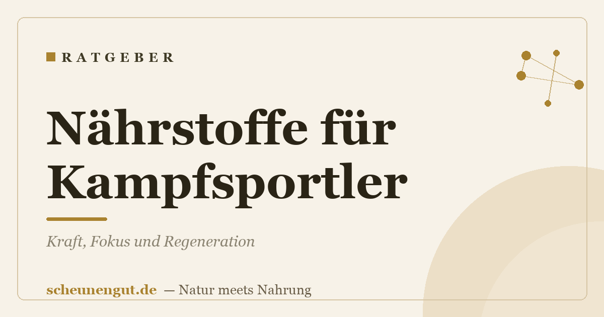 Nährstoffe für Kampfsportler: Kraft, Fokus und Regeneration