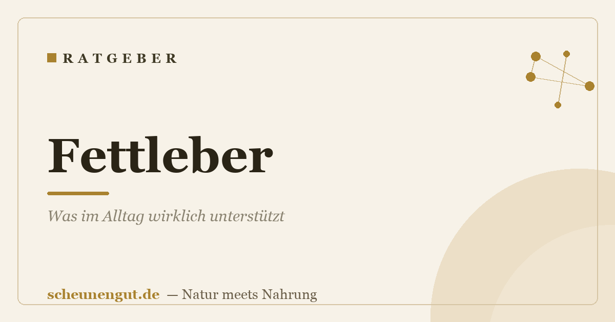 Fettleber: Was im Alltag wirklich unterstützt
