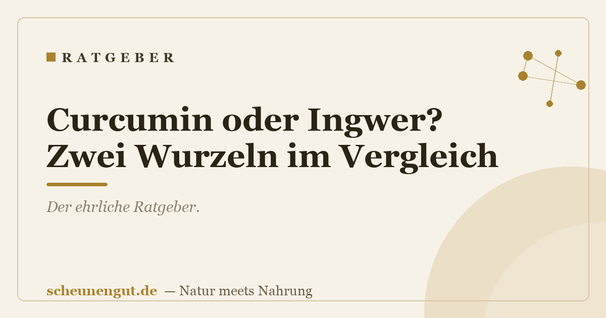 Curcumin oder Ingwer? Zwei Wurzeln im Vergleich