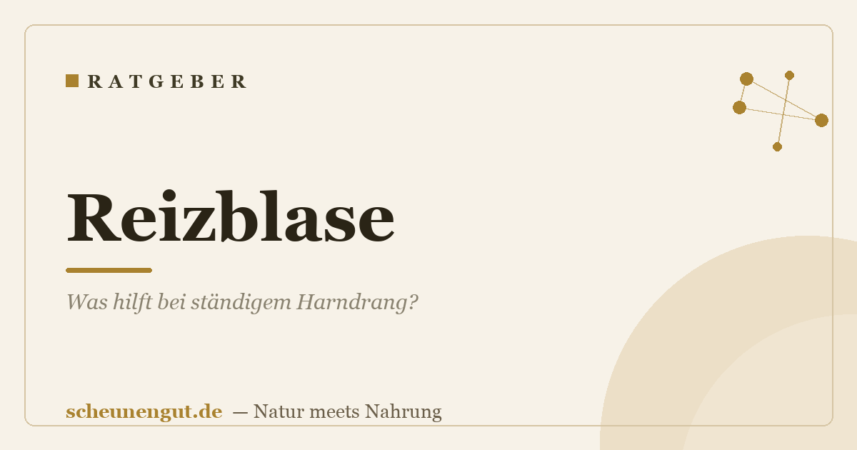 Reizblase: Was hilft bei ständigem Harndrang?