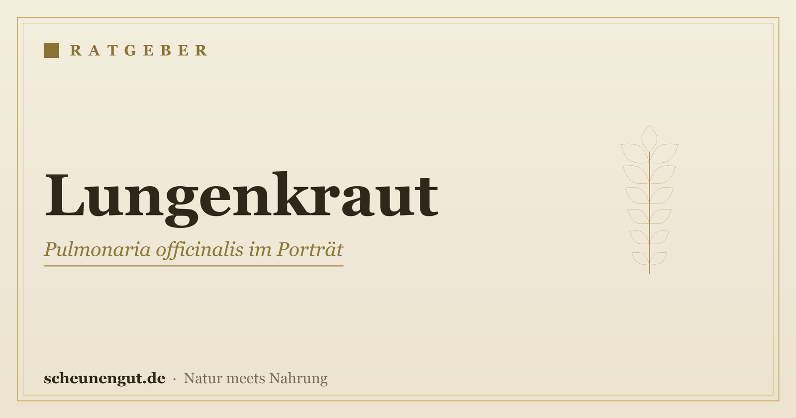 Lungenkraut (Pulmonaria officinalis): Botanik, Tradition und Wissenswertes – Ratgeber von Scheunengut
