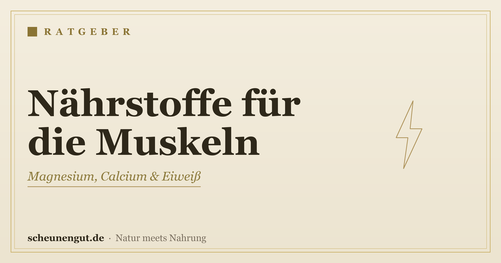 Nährstoffe für die Muskeln – Ratgeber von Scheunengut