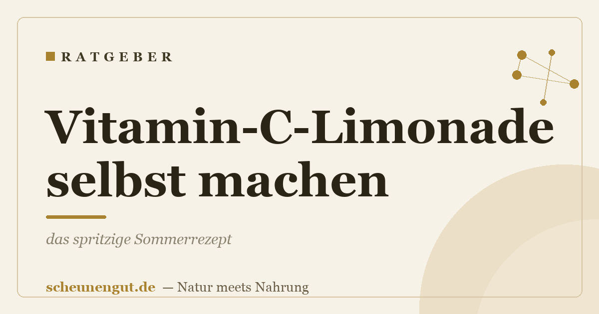 Vitamin-C-Limonade selbst machen: das spritzige Sommerrezept
