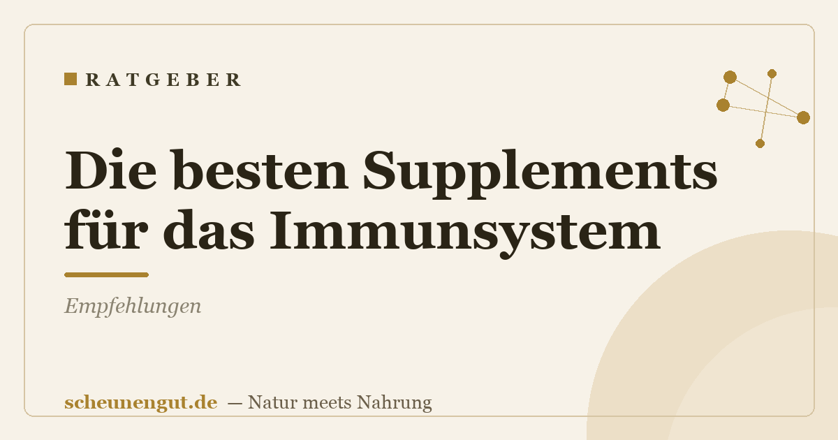 Die besten Supplements für das Immunsystem: Empfehlungen