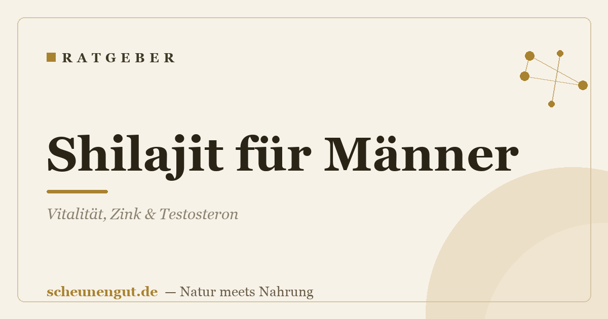 Shilajit für Männer: Vitalität, Zink & Testosteron