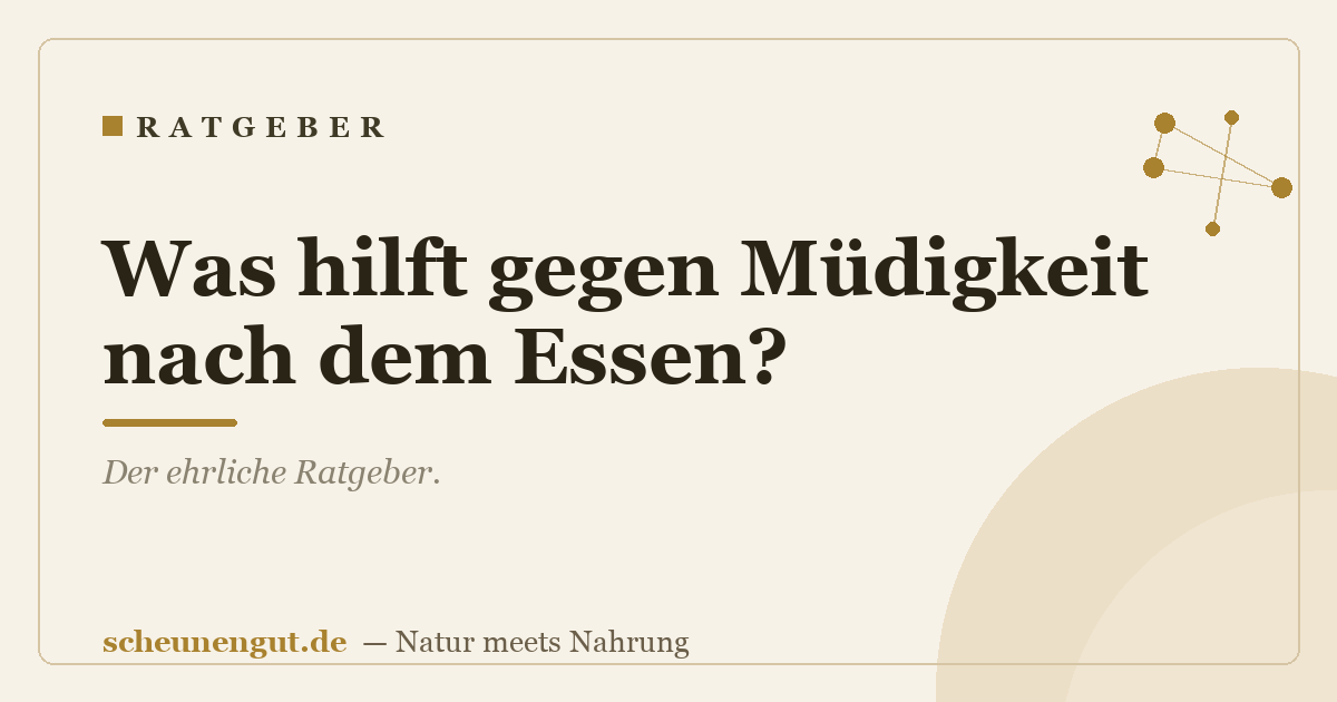 Was hilft gegen Müdigkeit nach dem Essen?