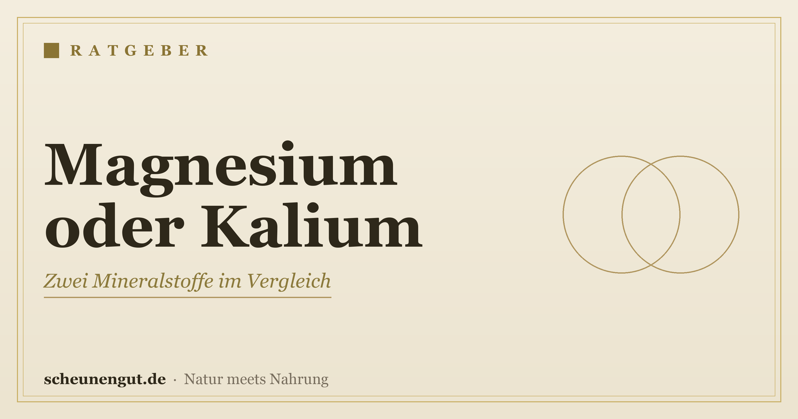 Magnesium oder Kalium: Wo liegt der Unterschied? – Ratgeber von Scheunengut