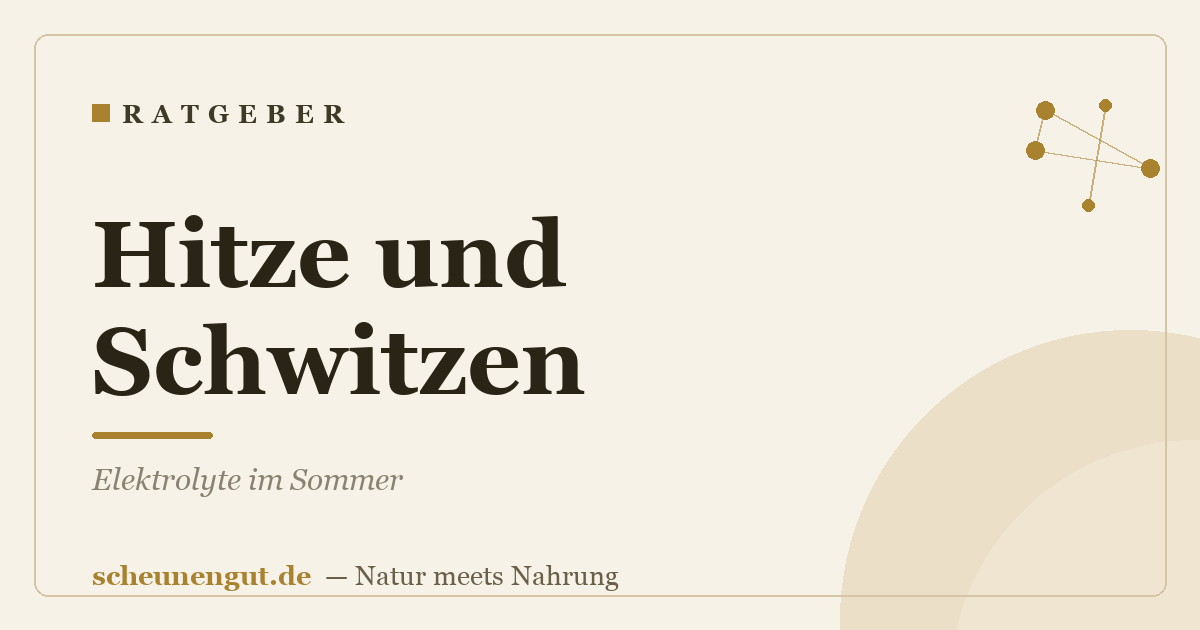 Hitze und Schwitzen: Elektrolyte im Sommer