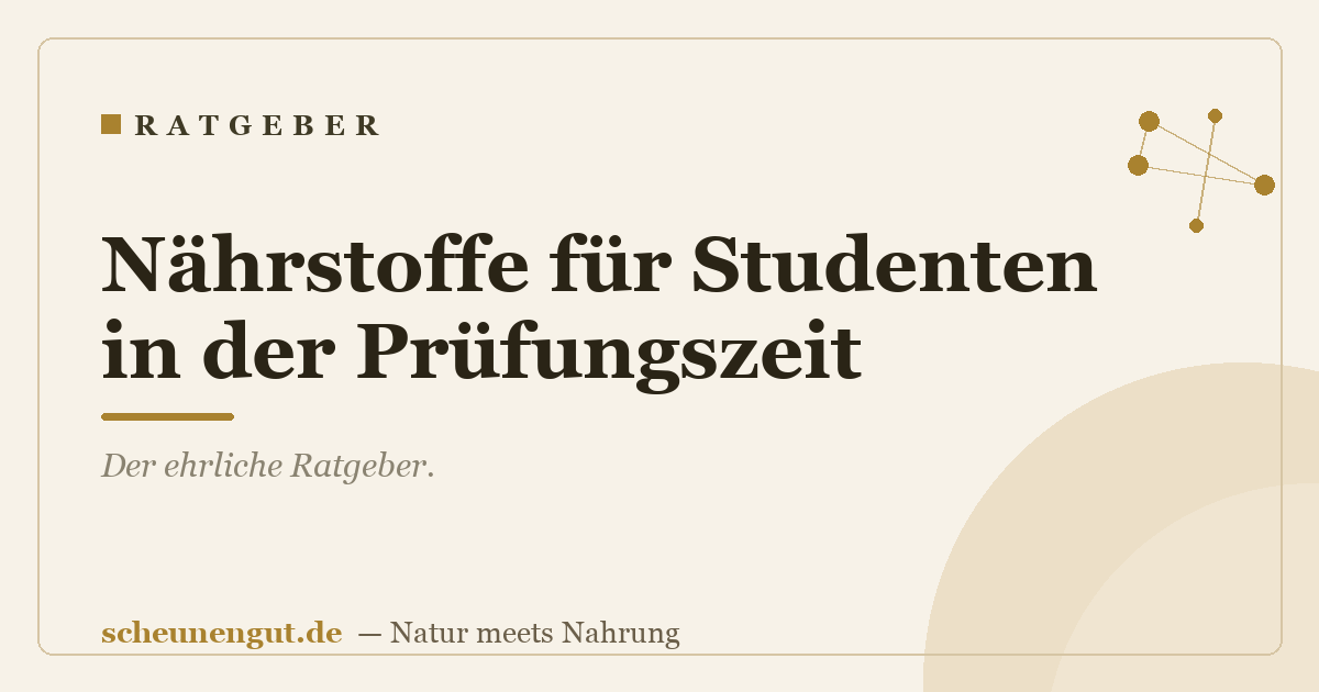 Nährstoffe für Studenten in der Prüfungszeit