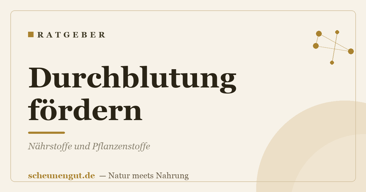 Durchblutung fördern: Nährstoffe und Pflanzenstoffe