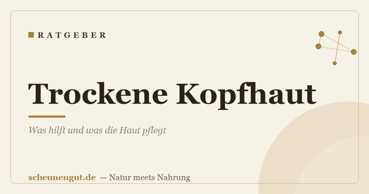 Trockene Kopfhaut: Was hilft und was die Haut pflegt