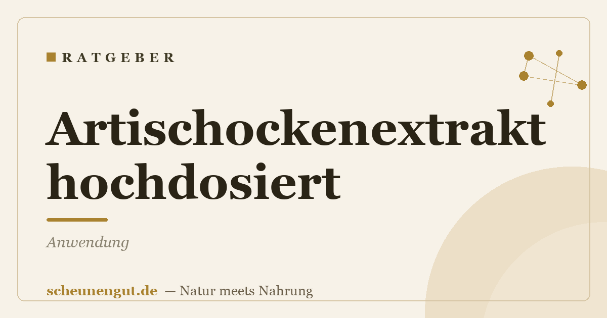 Artischockenextrakt hochdosiert: Anwendung