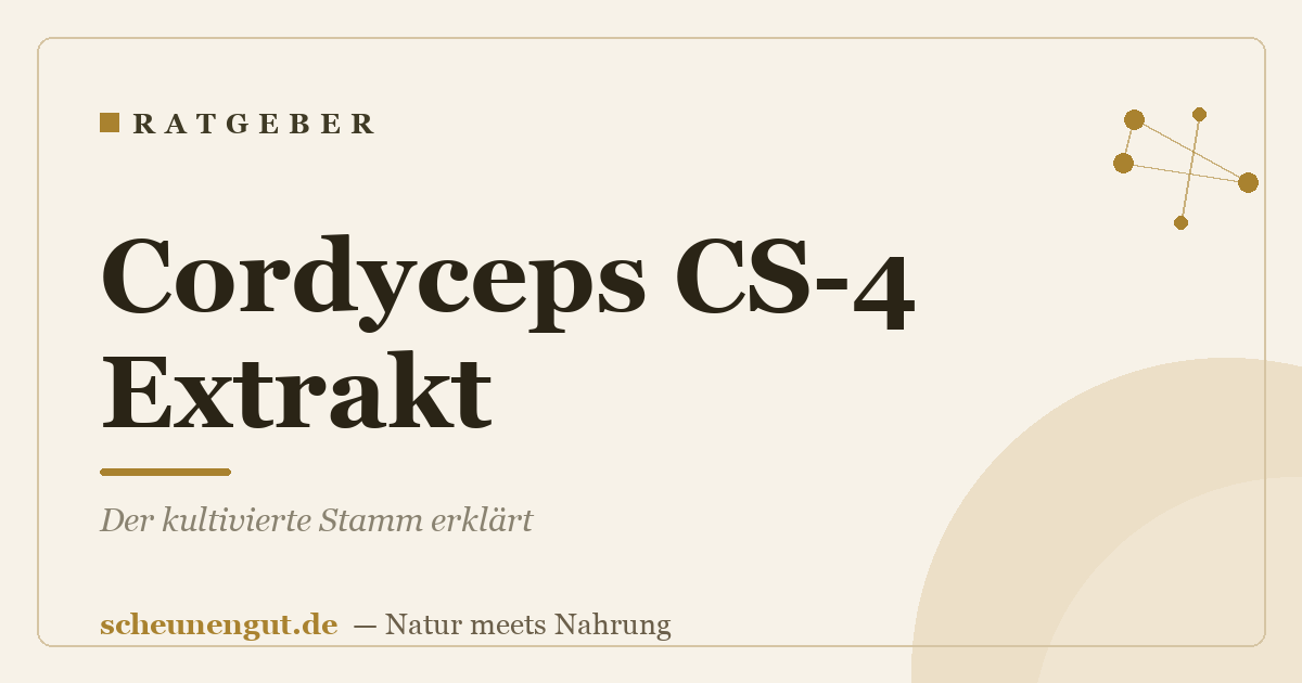 Cordyceps CS-4 Extrakt: Der kultivierte Stamm erklärt