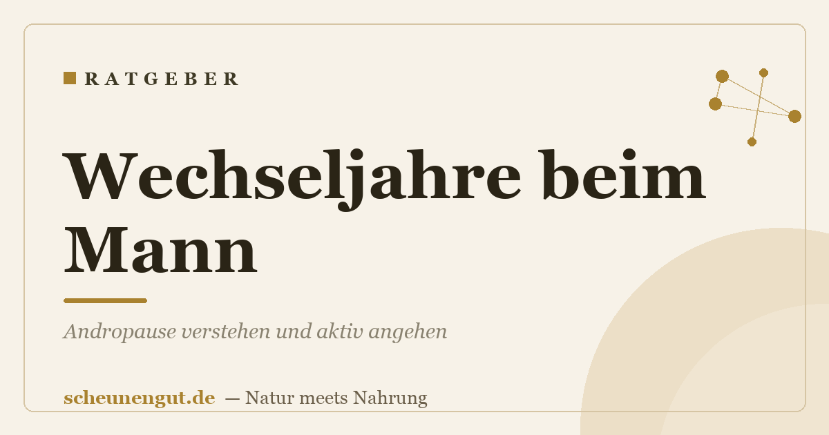 Wechseljahre beim Mann: Andropause verstehen und aktiv angehen