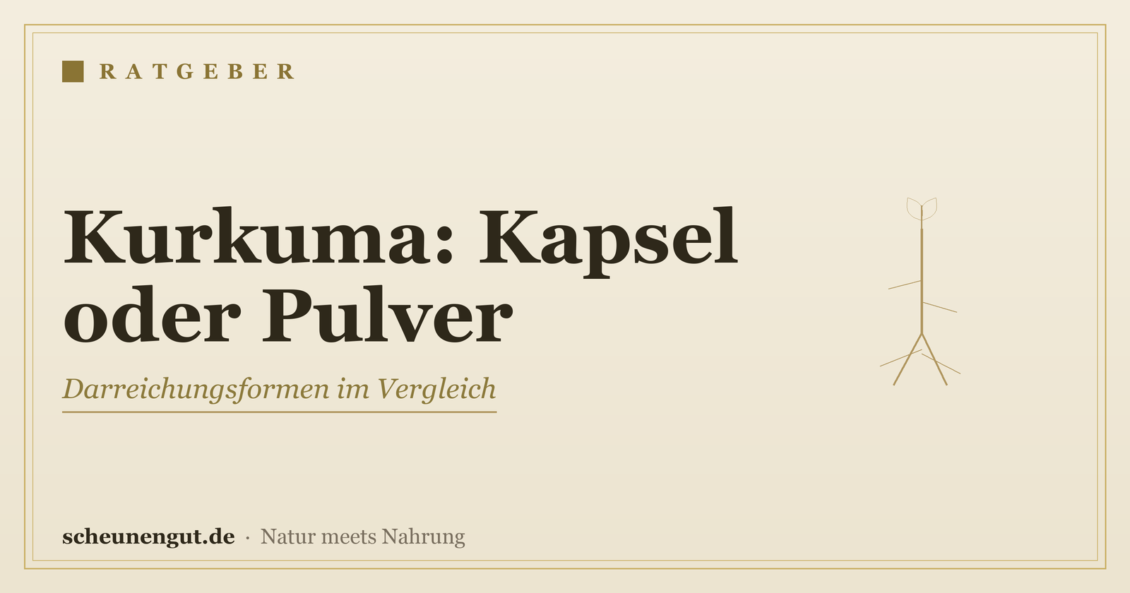 Kurkuma: Kapsel oder Pulver? – Ratgeber von Scheunengut