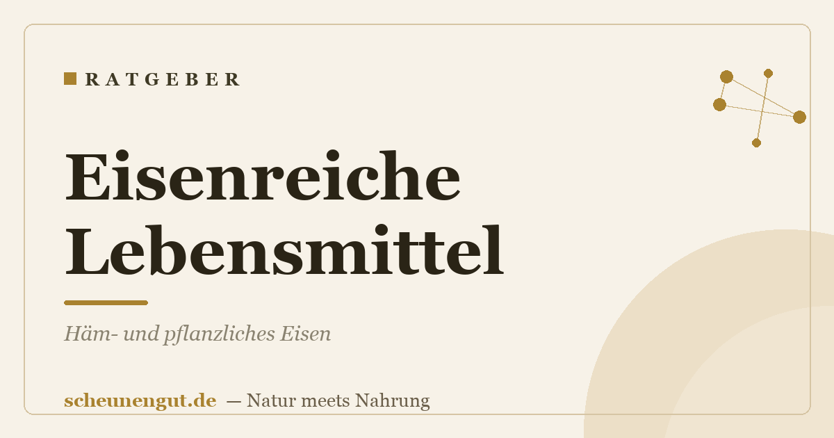 Eisenreiche Lebensmittel: Häm- und pflanzliches Eisen