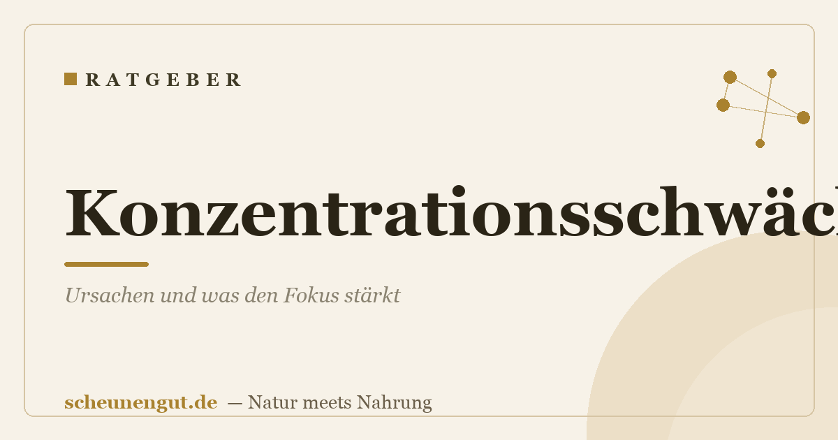 Konzentrationsschwäche: Ursachen und was den Fokus stärkt