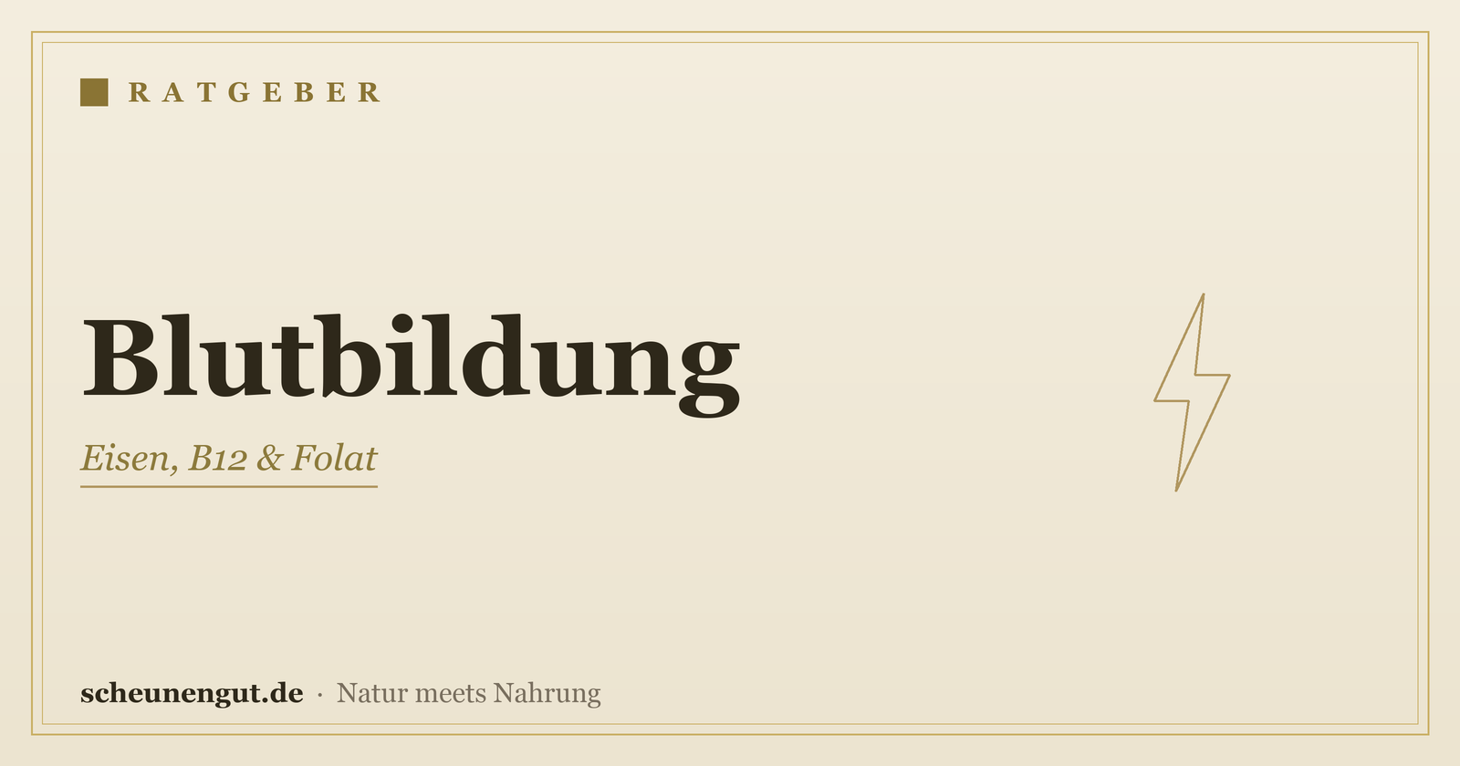 Nährstoffe für die Blutbildung – Ratgeber von Scheunengut