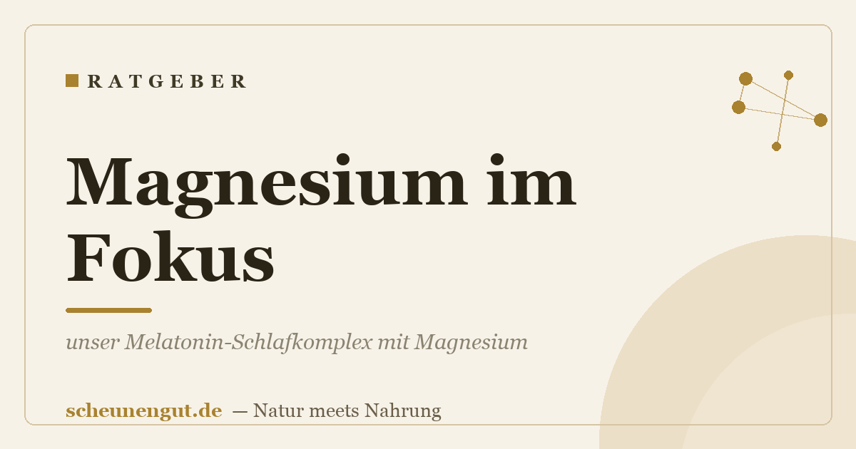 Magnesium im Fokus: unser Komplex aus 4 bioaktiven Magnesiumquellen