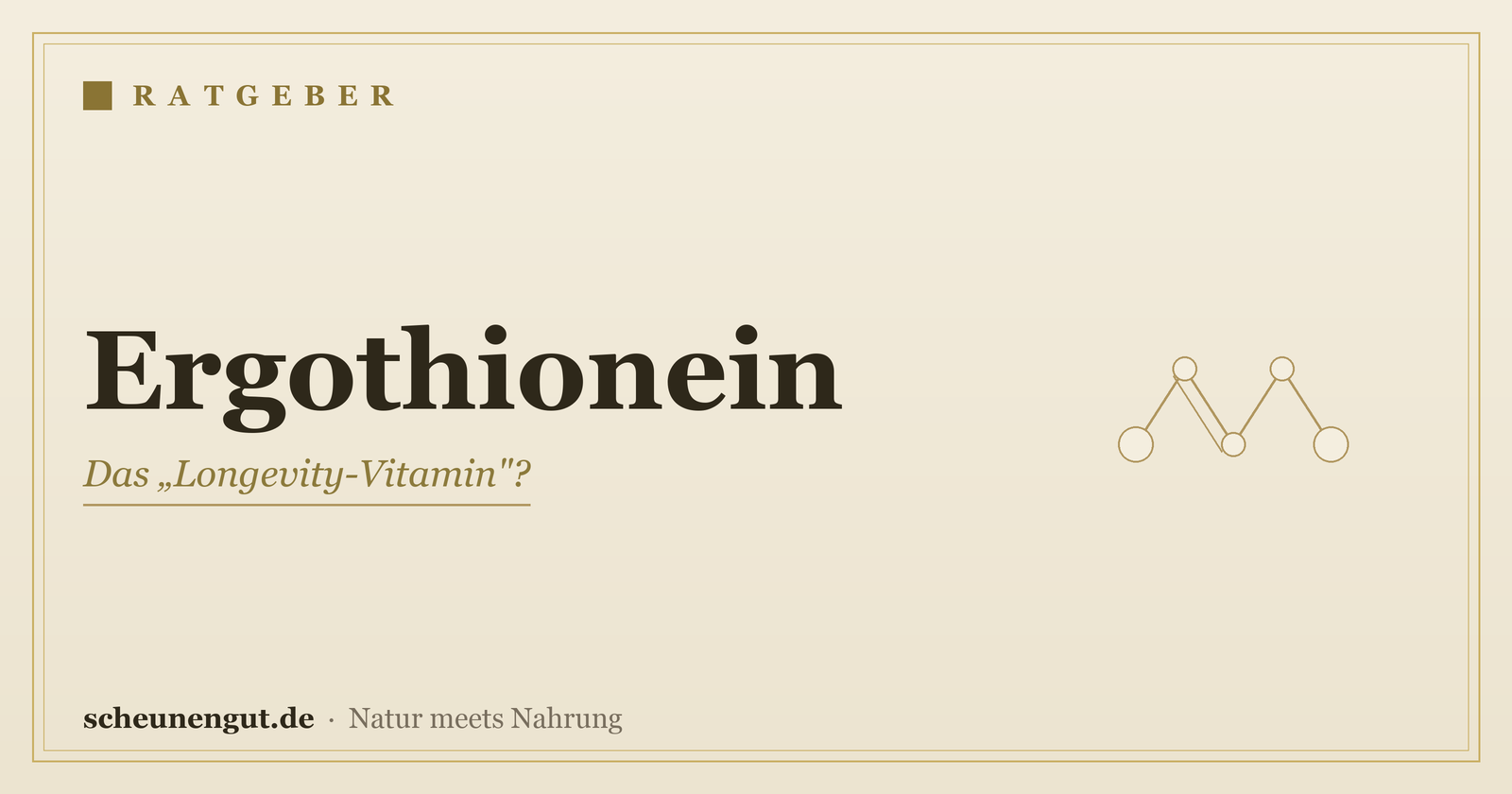 Ergothionein: das Longevity-Vitamin? – Ratgeber von Scheunengut