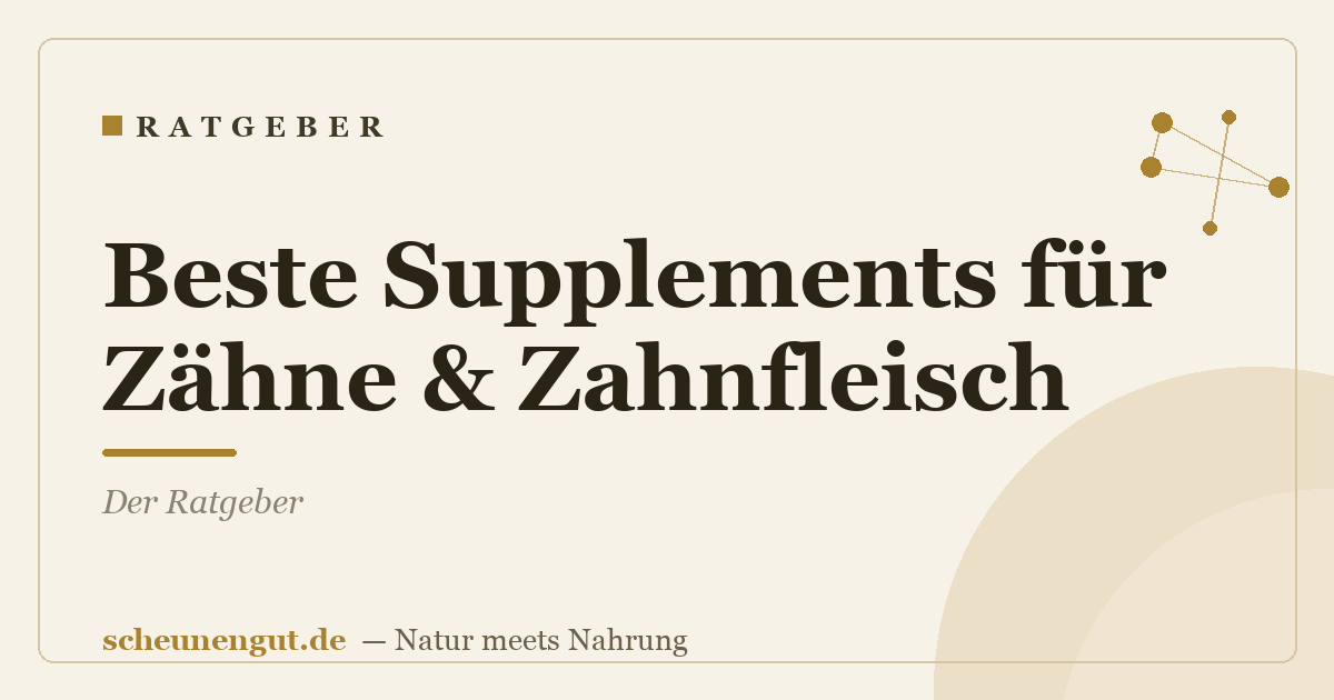 Beste Supplements für Zähne & Zahnfleisch: Der Ratgeber
