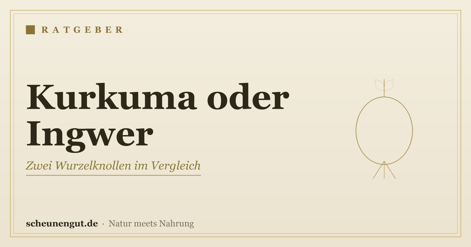 Kurkuma oder Ingwer: Die goldenen Knollen im Vergleich – Ratgeber von Scheunengut