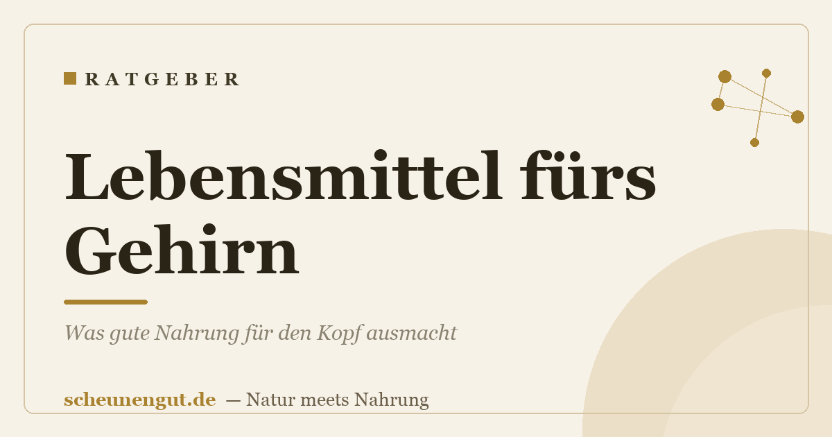 Lebensmittel fürs Gehirn: Was gute Nahrung für den Kopf ausmacht