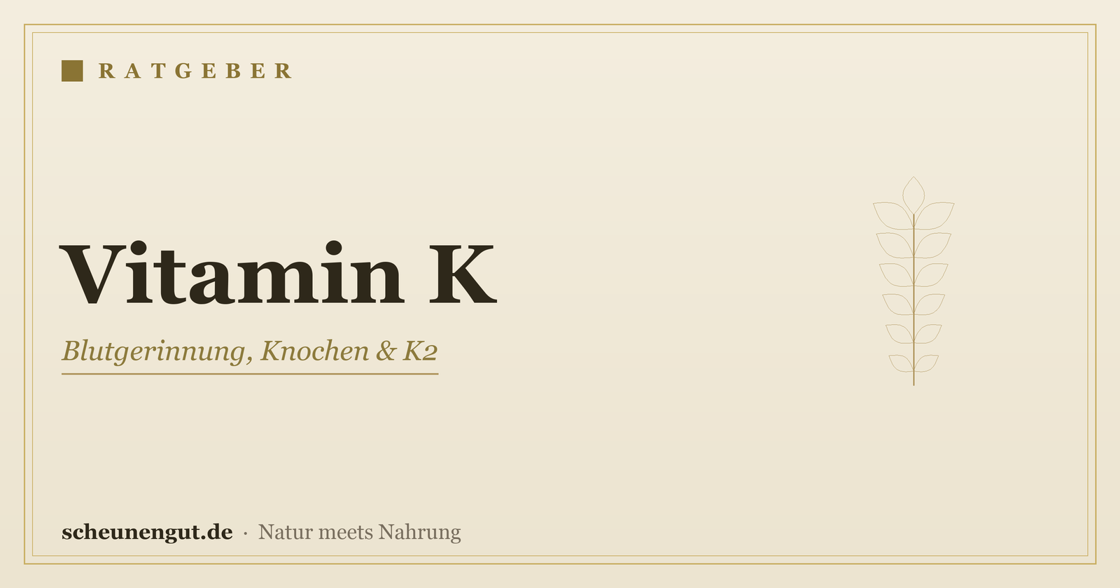 Vitamin K – Ratgeber von Scheunengut