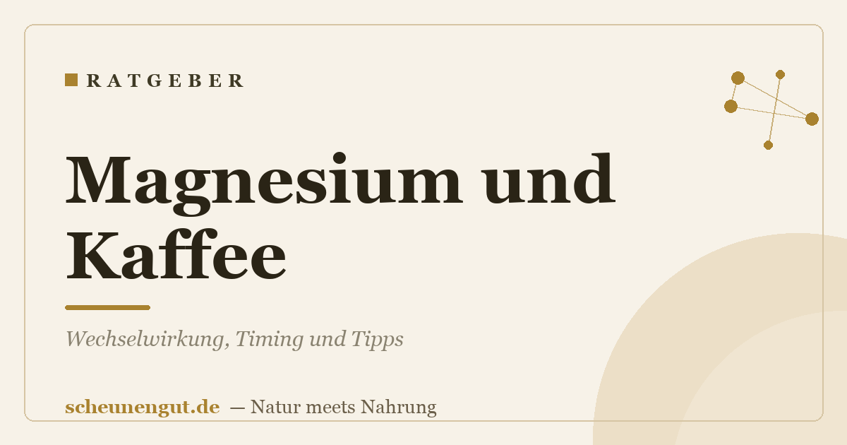 Magnesium und Kaffee: Wechselwirkung, Timing und Tipps