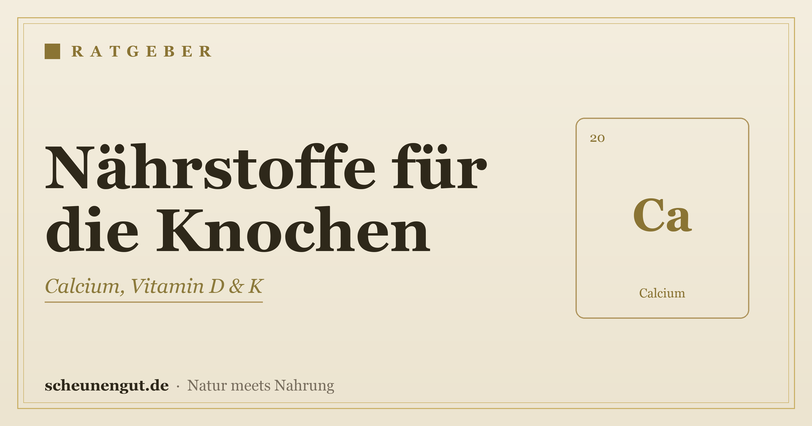 Nährstoffe für starke Knochen – Ratgeber von Scheunengut