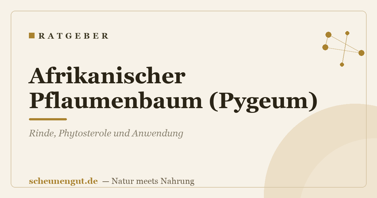 Afrikanischer Pflaumenbaum (Pygeum): Rinde, Phytosterole und Anwendung