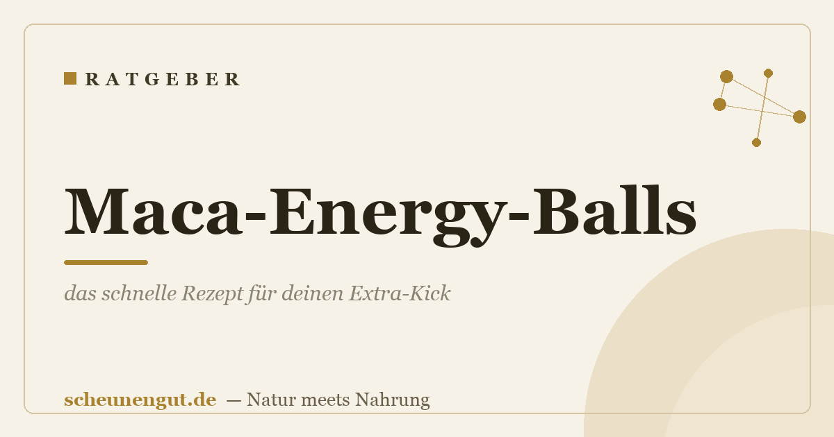 Maca-Energy-Balls: das schnelle Rezept für deinen Extra-Kick