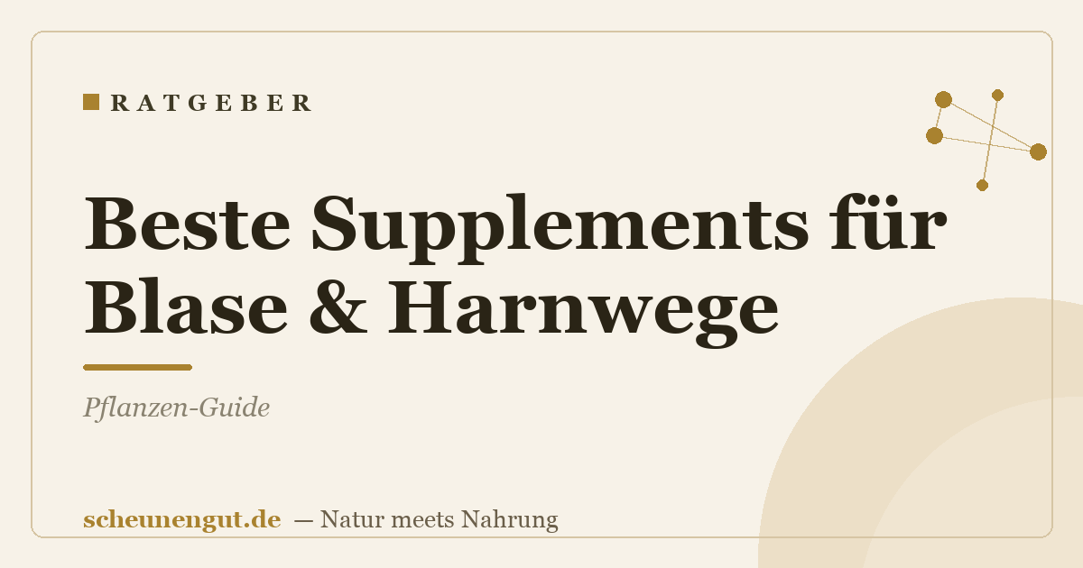 Beste Supplements für Blase & Harnwege: Pflanzen-Guide
