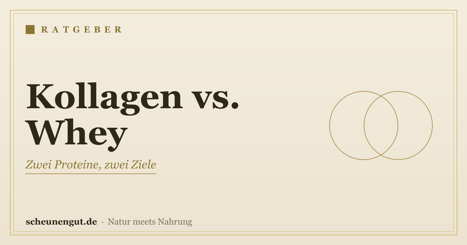 Kollagen oder Whey? Der Vergleich – Ratgeber von Scheunengut