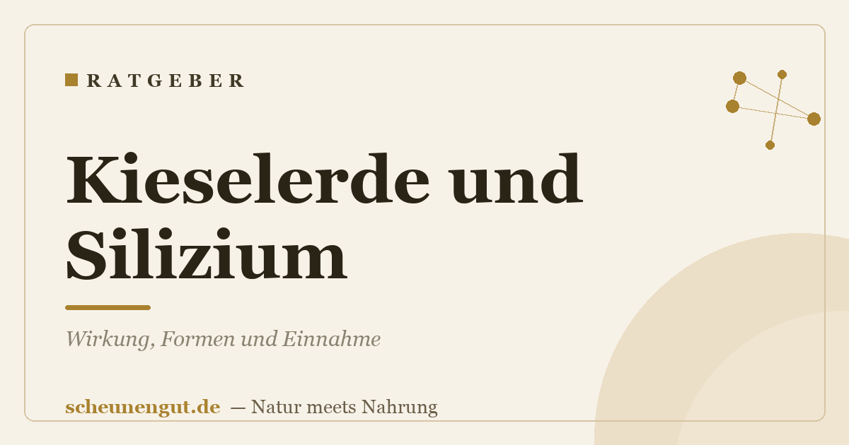 Kieselerde und Silizium: Wirkung, Formen und Einnahme