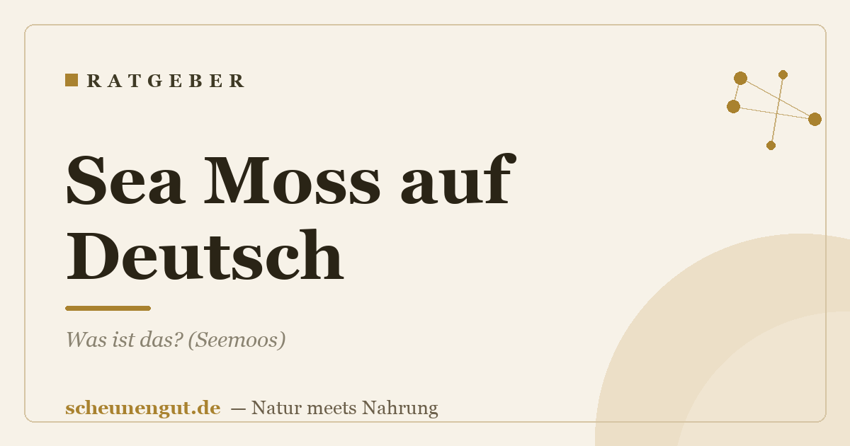 Sea Moss auf Deutsch: Was ist das? (Seemoos)