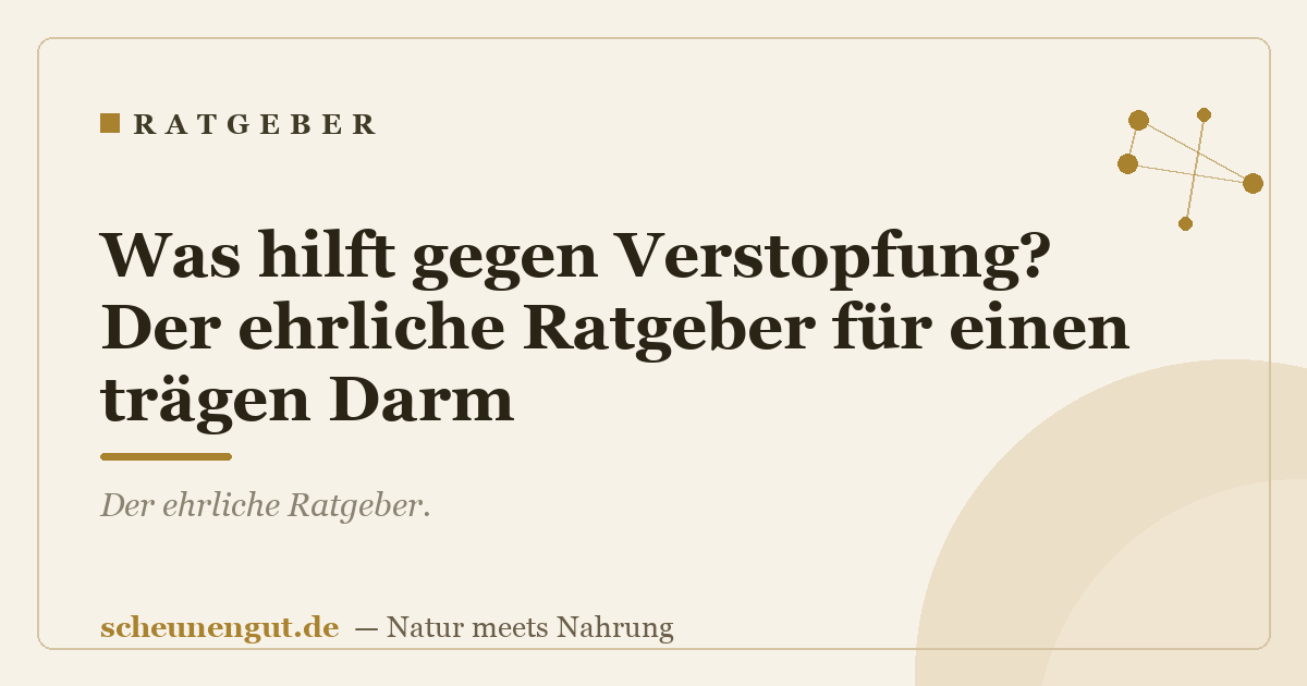 Was hilft gegen Verstopfung? Der ehrliche Ratgeber für einen trägen Darm