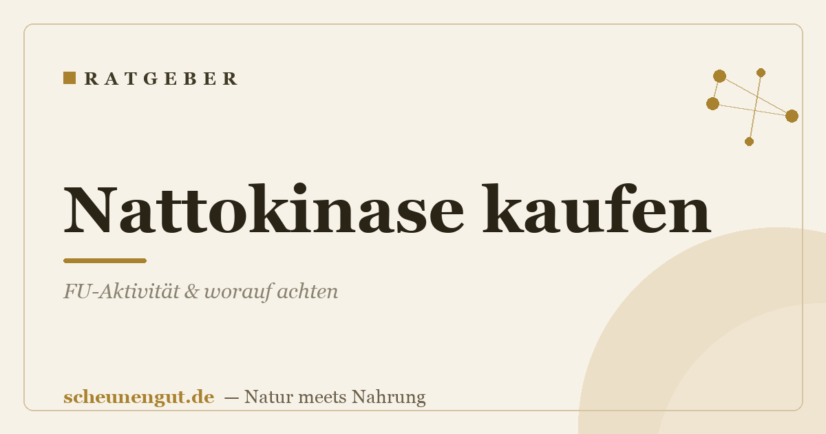 Nattokinase kaufen: FU-Aktivität & worauf achten