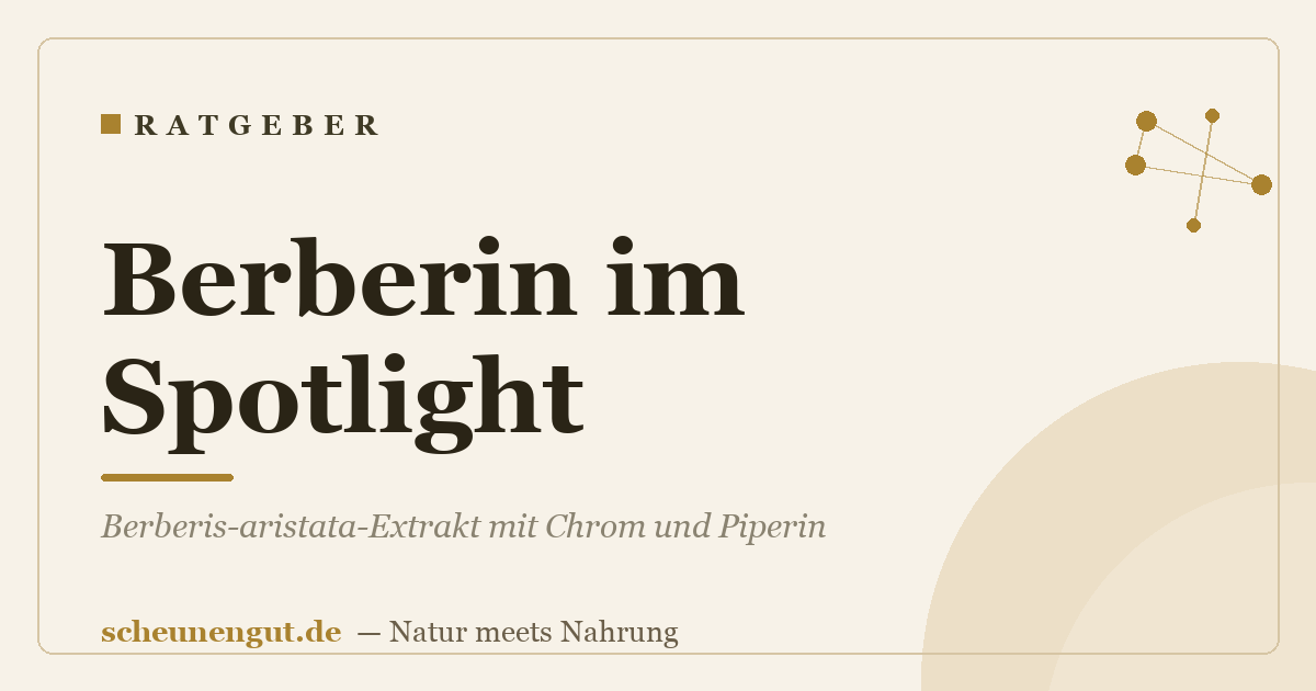 Berberin im Spotlight: Berberis-aristata-Extrakt mit Chrom und Piperin